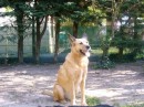 Photo 068_resize * 500 x 375 * (72KB)